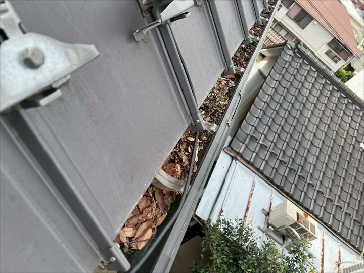 雨樋に溜まった落ち葉
