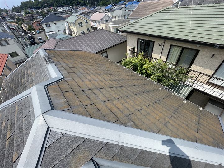 南面は日当たりが良く苔などはほとんど無い