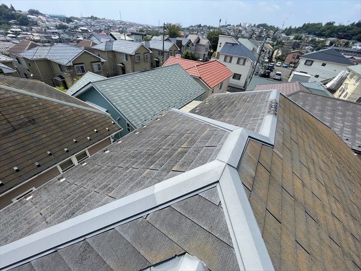 南面は日当たりが良く苔などはほとんど無い