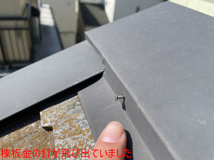 棟板金の釘が飛び出ていました