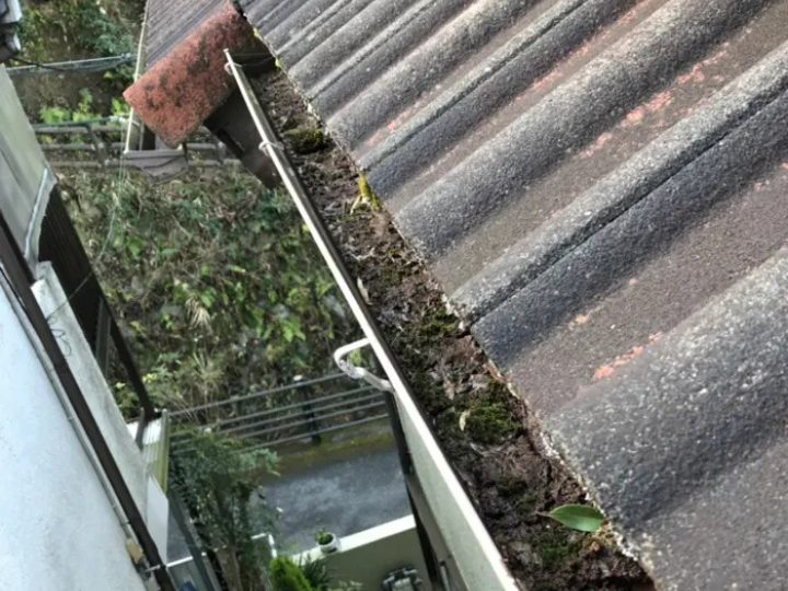 詰まっている雨樋