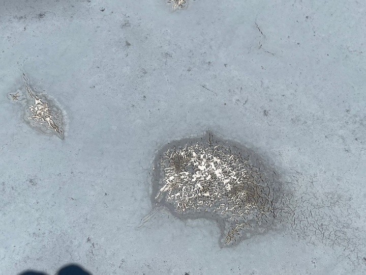 既存の防水の傷みも顕著