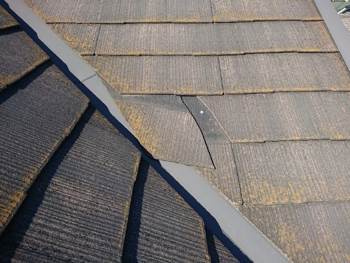 苔(こけ)が繁殖したスレート屋根