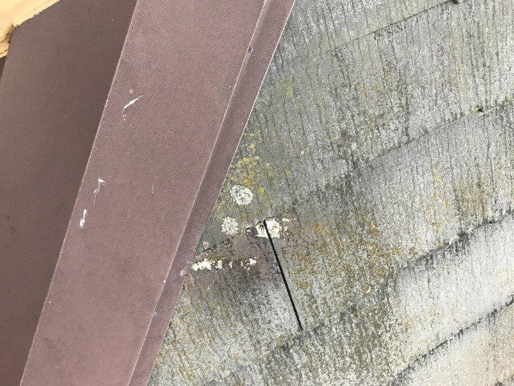 苔が繁殖した屋根表面
