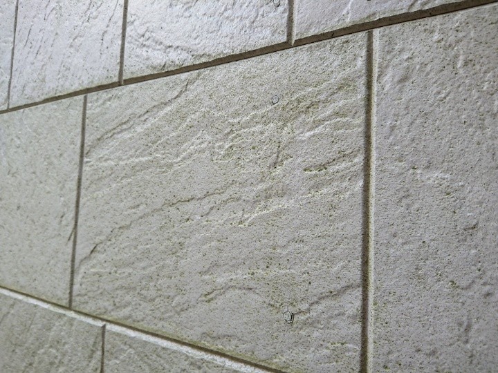 コーキングが割れて苔が繁殖したサイディング外壁