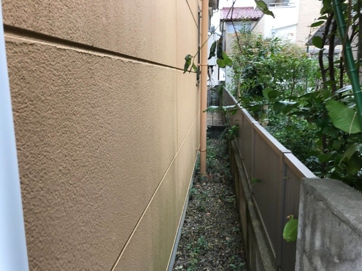 苔（コケ）とチョーキングが発生した外壁