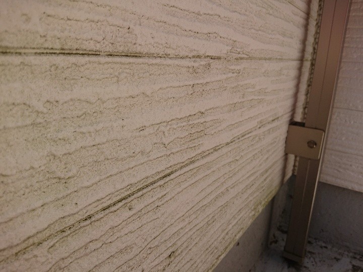 苔（こけ）が繫殖した外壁