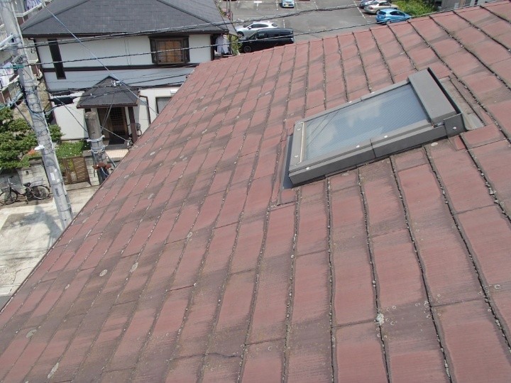 表面にはカビや苔が広範囲に繁殖