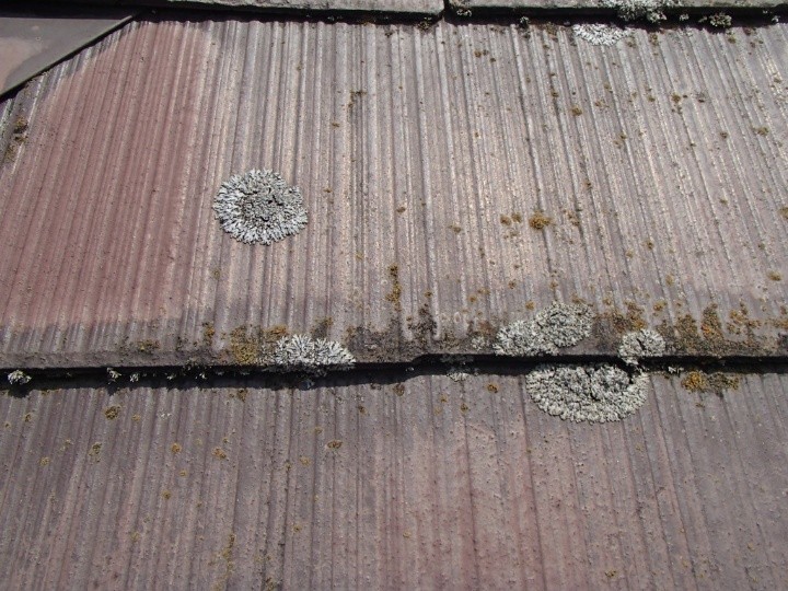 スレート屋根の状態を点検