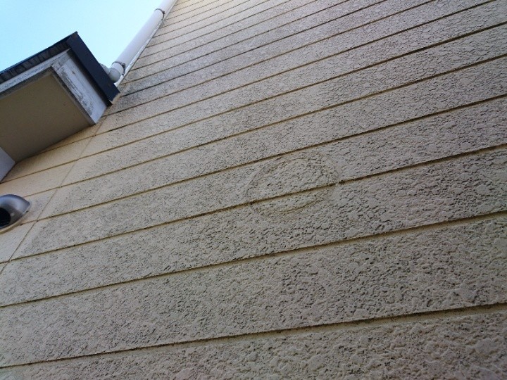 北側の外壁は全体的にうっすらと緑色へ変色