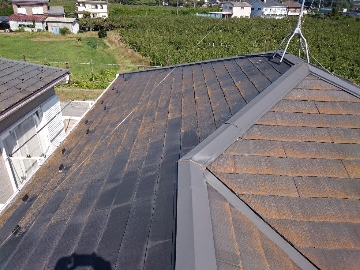 化粧スレートは藻や苔が繁殖して変色した状態