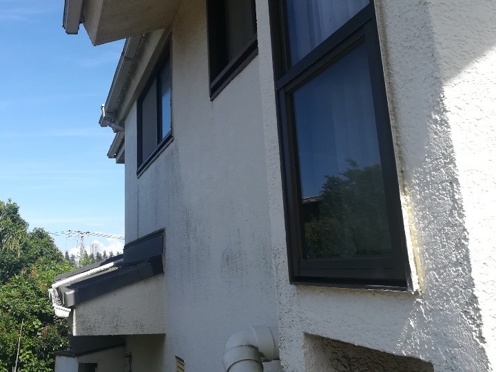 外壁は色あせや黒ずみが目立つ状態