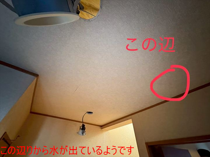 この辺りから水が出ているようです