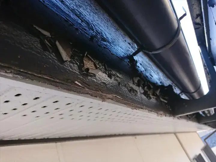 鼻隠しに施された塗装の剥がれ