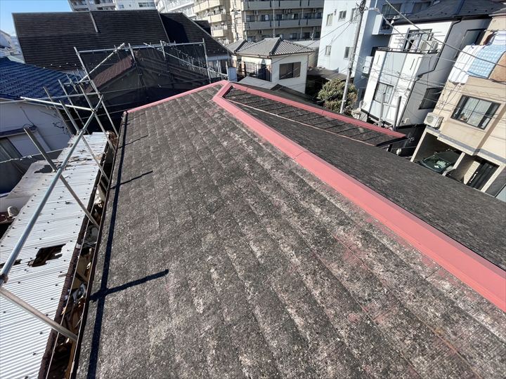 苔が全面に発生して黒くなった屋根