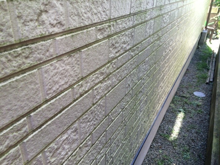 苔が繫殖した外壁