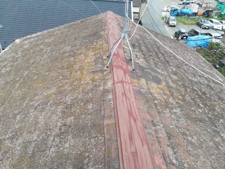 苔が繁殖したスレート屋根