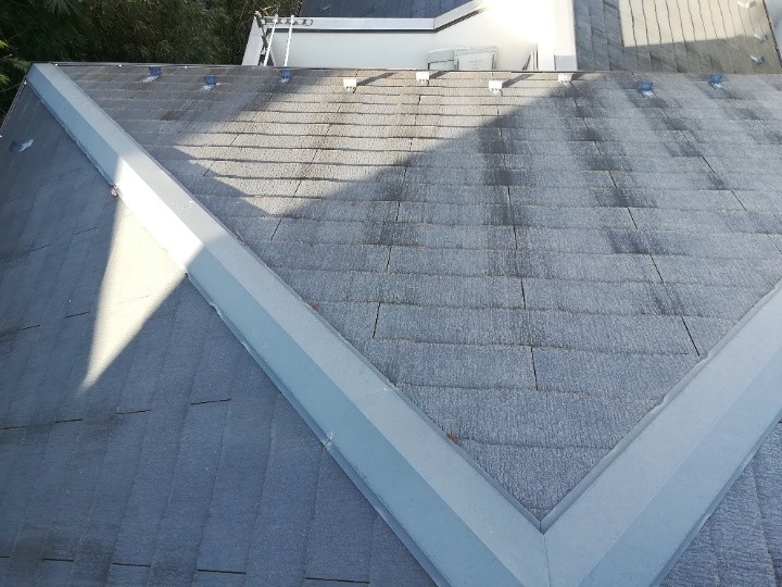 屋根材は化粧スレートで苔の繁殖が目立つ状態