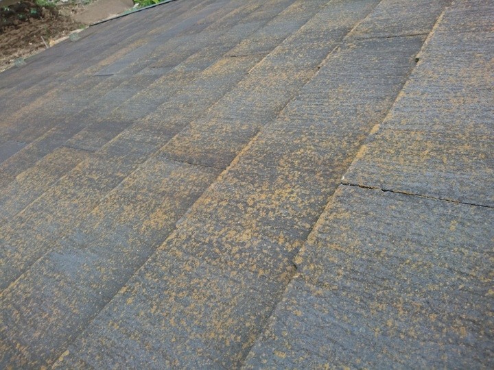 屋根には苔（コケ）が広範囲で繁殖