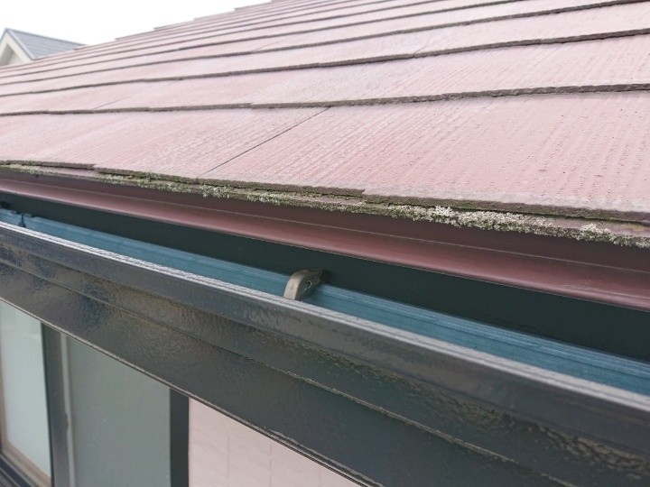 軒先に苔や藻が発生