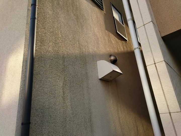 苔(コケ)が繫殖した外壁