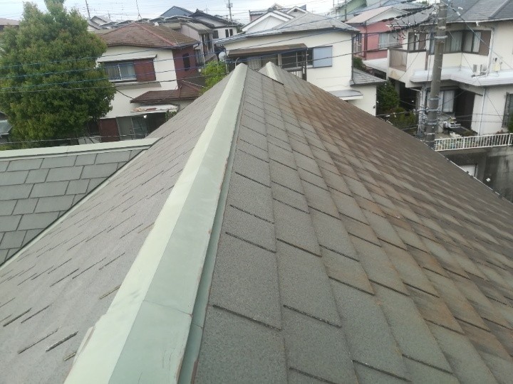 苔(コケ)が繁殖した屋根