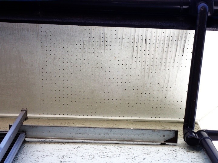 軒天は変色している状態