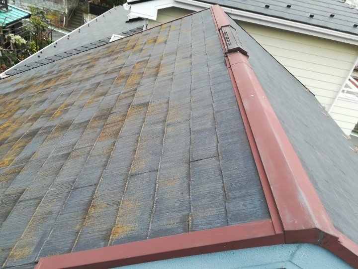 苔（コケ）が繁殖した屋根