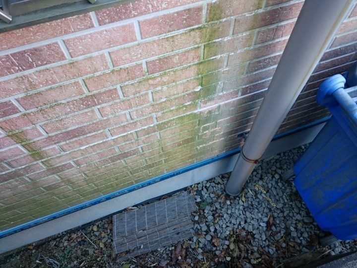 サイディング外壁の状態を確認