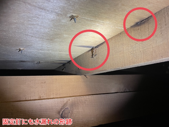 固定釘にも水漏れの形跡