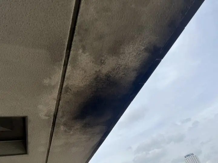 黒ずんでいる軒天