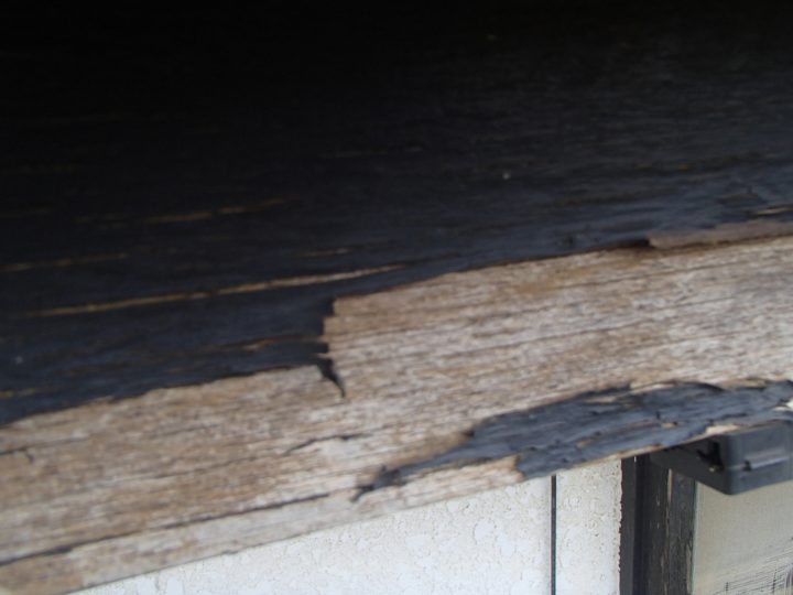 表面が剥がれている鼻隠し