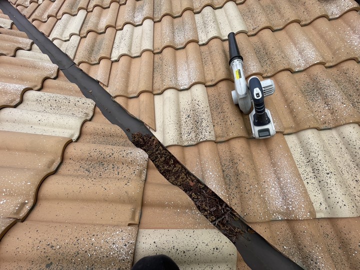 谷にたまった落ち葉を撤去