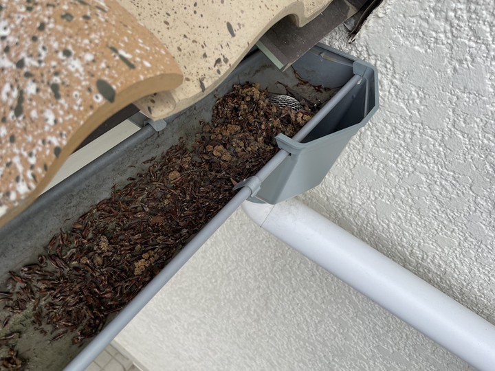 軒樋にたまった落ち葉