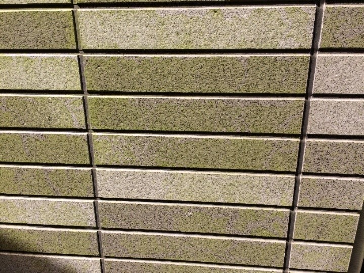 苔が繁殖したタイル調の外壁