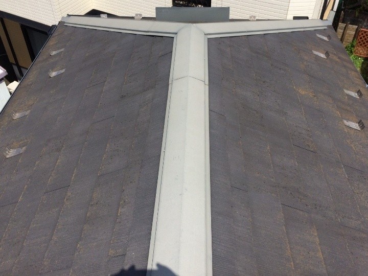 スレート屋根は苔（コケ）が繁殖