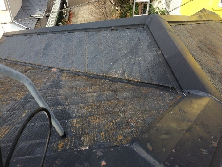 スレート屋根には苔（コケ）が繁殖