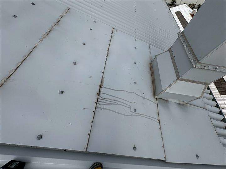 たくさん水が溜まっていました