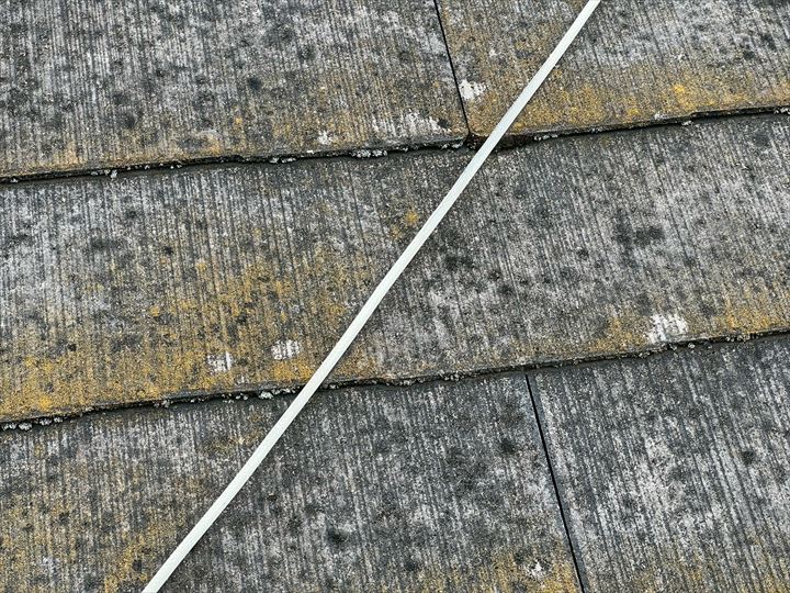 スレートのカビ