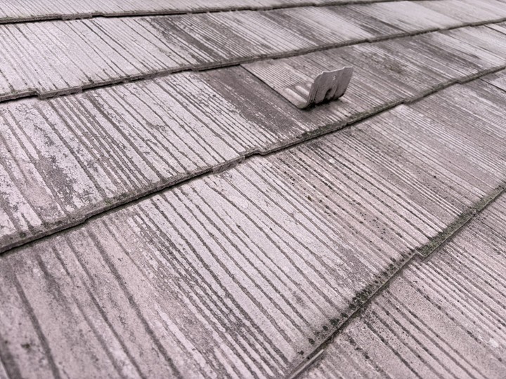 ニューコロニアル