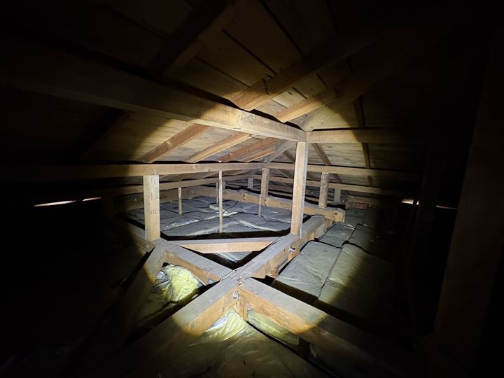 ハクビシンの足跡などもない