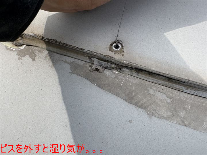 ビスを外すと湿り気が。。。