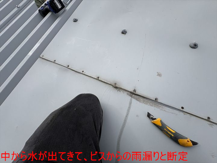 中から水が出てきて、ビスからの雨漏りと断定