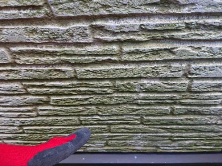 窯業系サイディング外壁の苔の繁殖