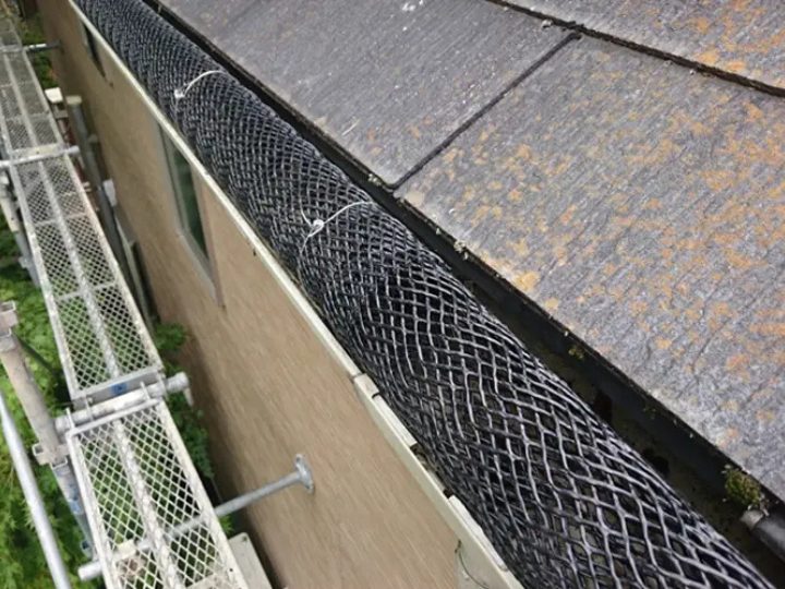 落ち葉除けネットが設置された雨樋