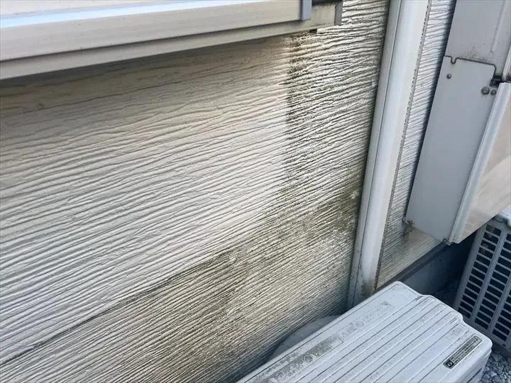 外壁の汚れ・黒ずみ