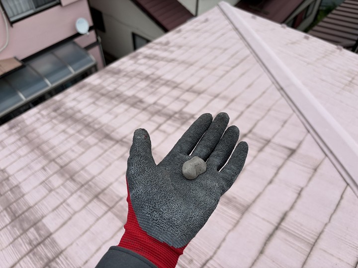 鳥などが置いていったと思われる石