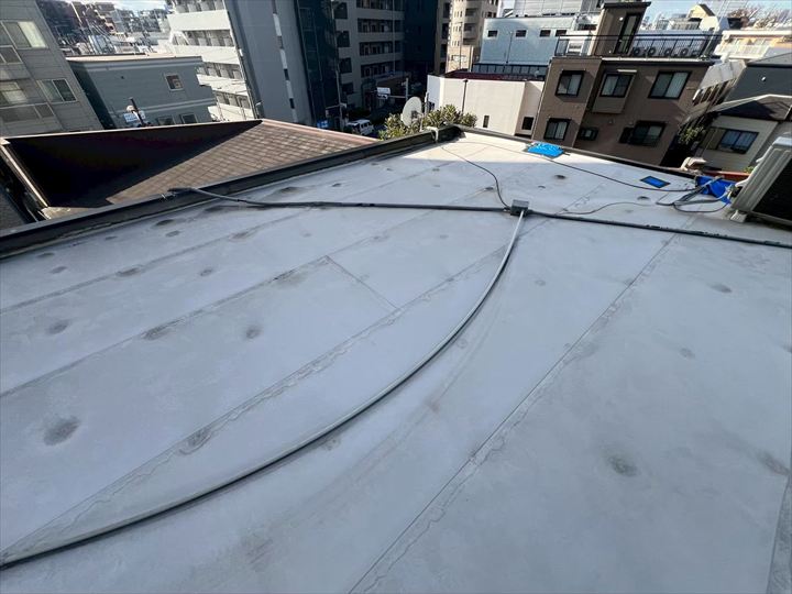 全体像