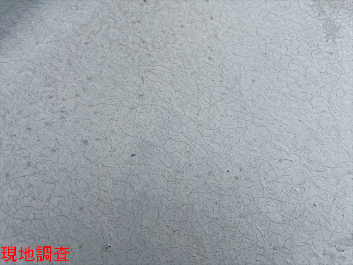 現地調査