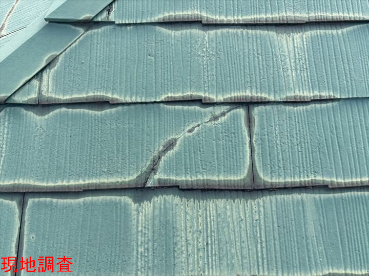 現地調査